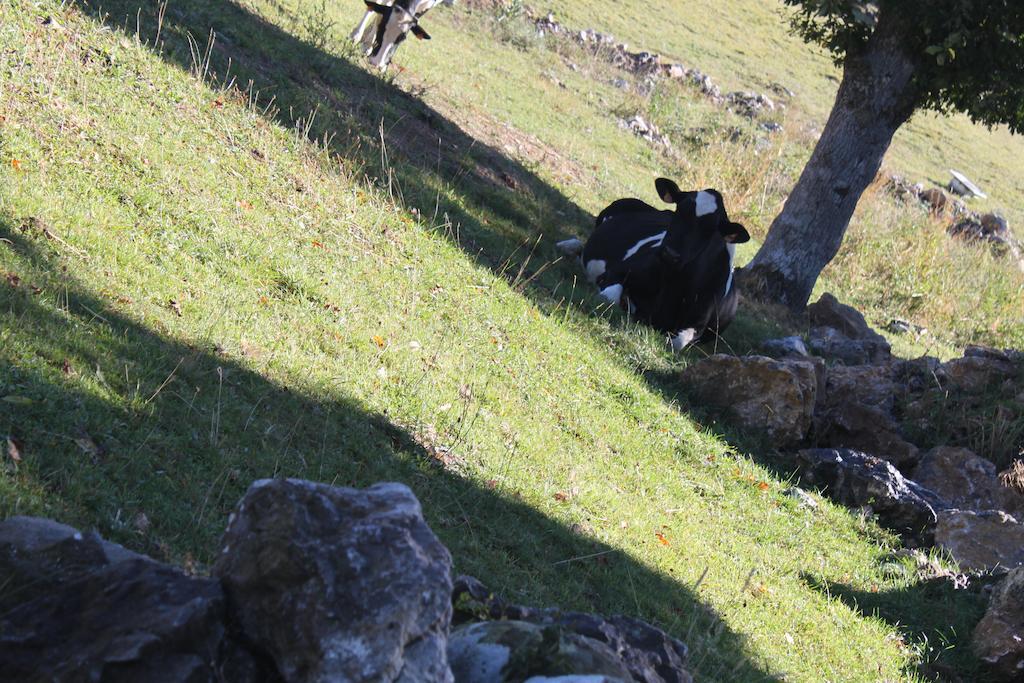 Machorras I Y Ii Country house Barcenas