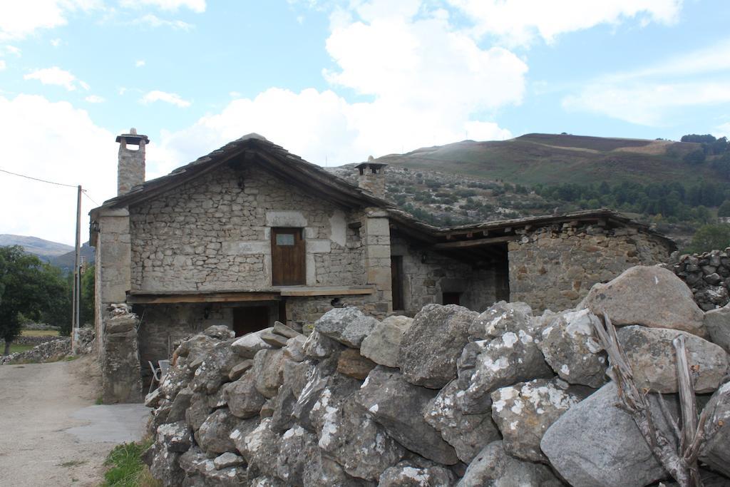 Machorras I Y Ii *